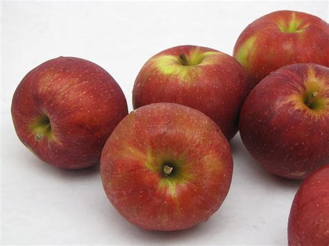 Amazon.com: Apples